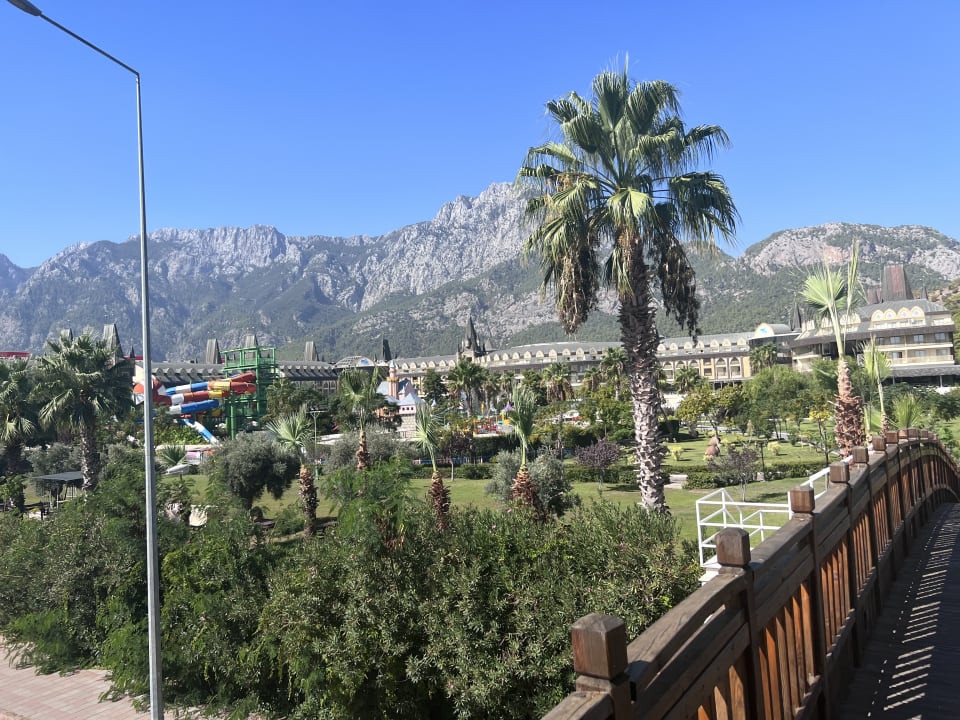 Ausblick Crystal Prestige Elite