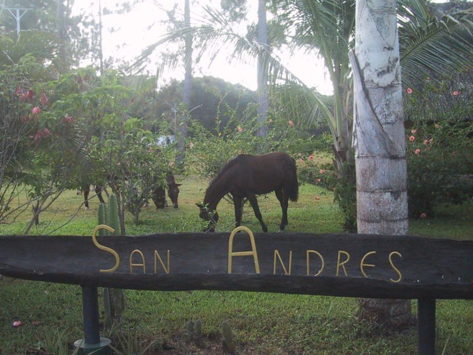 Rancho Posada San Andres Hotel Hacienda San Andres