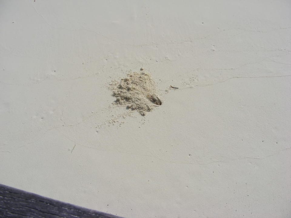 Das war einer von den Ottos mit der Sandschaufel Meeru Maldives Resort Island