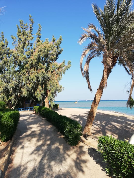 Strand Sheraton Miramar Resort El Gouna