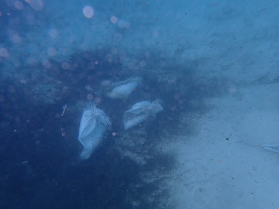 Sport & Freizeit Angaga Island Resort