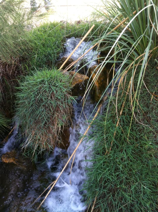 Außenansicht Hotel THB Tropical Island