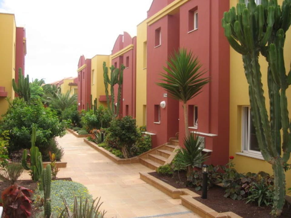 Alejka Hotel Arena Beach