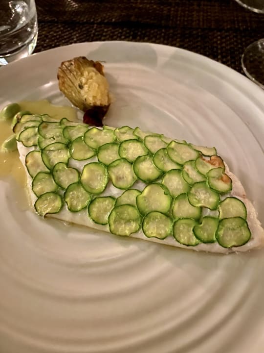 Gastro Acanthus Cennet Barut Collection