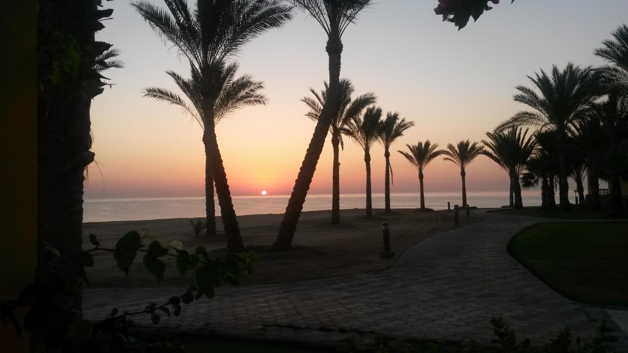 Sunrise Steigenberger Coraya Beach - Adults only