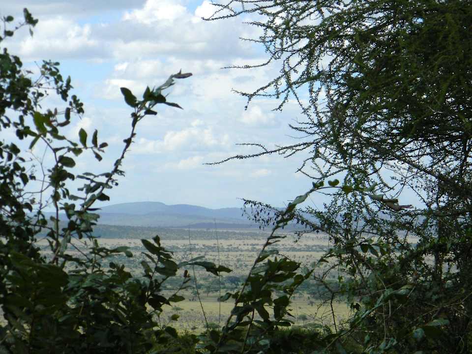 Blick vom Balkon Hotel Serengeti Sopa Lodge