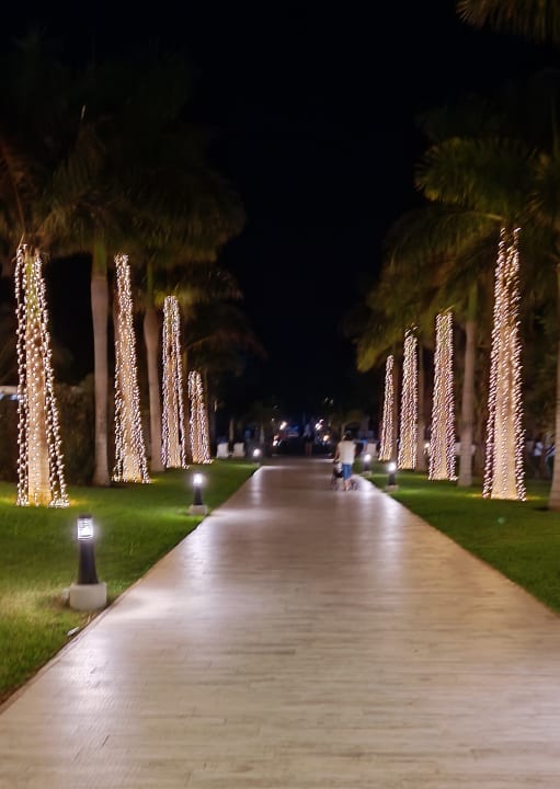 Gartenanlage Hotel Riu Palace Meloneras