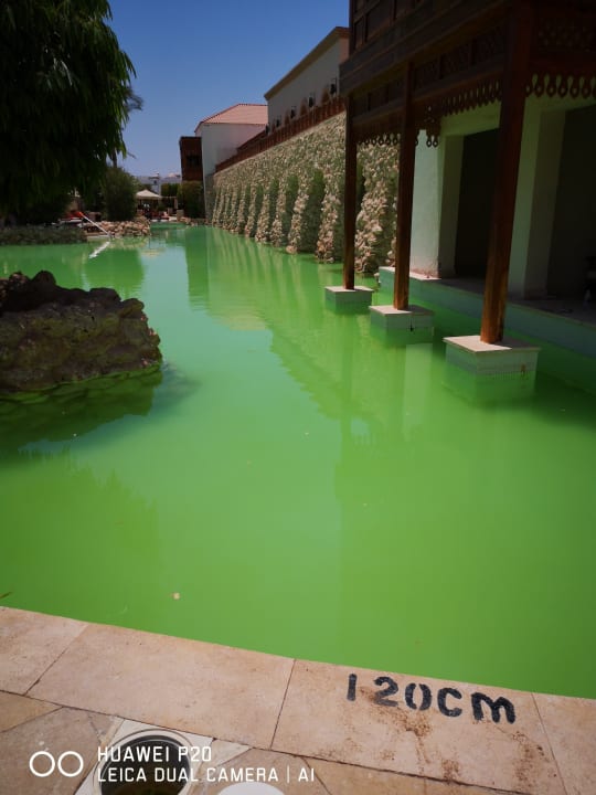 Pool Ghazala Gardens
