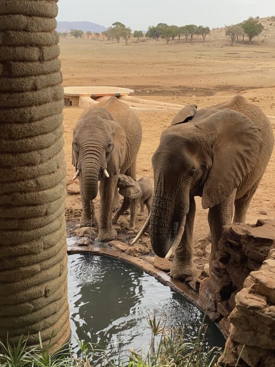 Sport & Freizeit Taita Hills Safari Resort & Spa