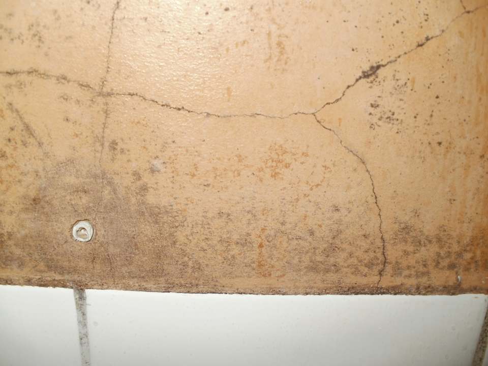 Schimmelbildung Bad Hotel The Cottage