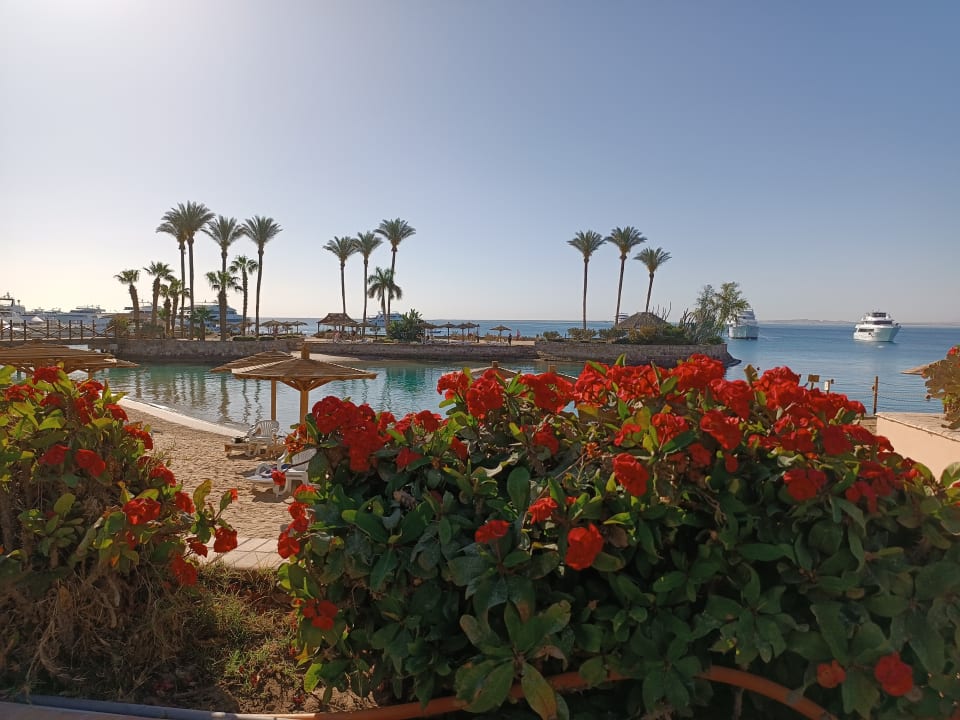 Gartenanlage Marriott Hurghada Beach Resort