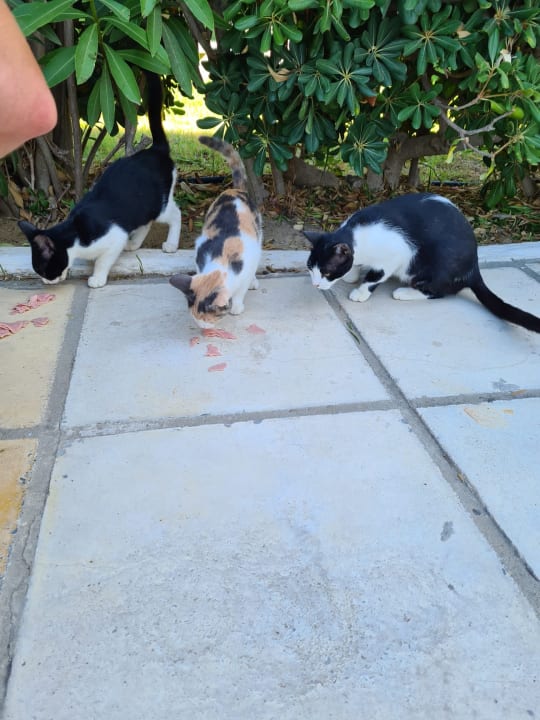 Sonstiges Smy Kos Beach & Splash