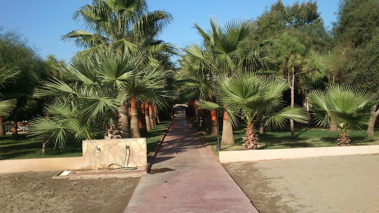 Vom Strand Richtung Hotel Hotel Royal Garden Beach