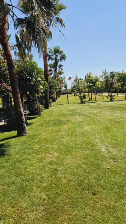 Gartenanlage Royal Seginus