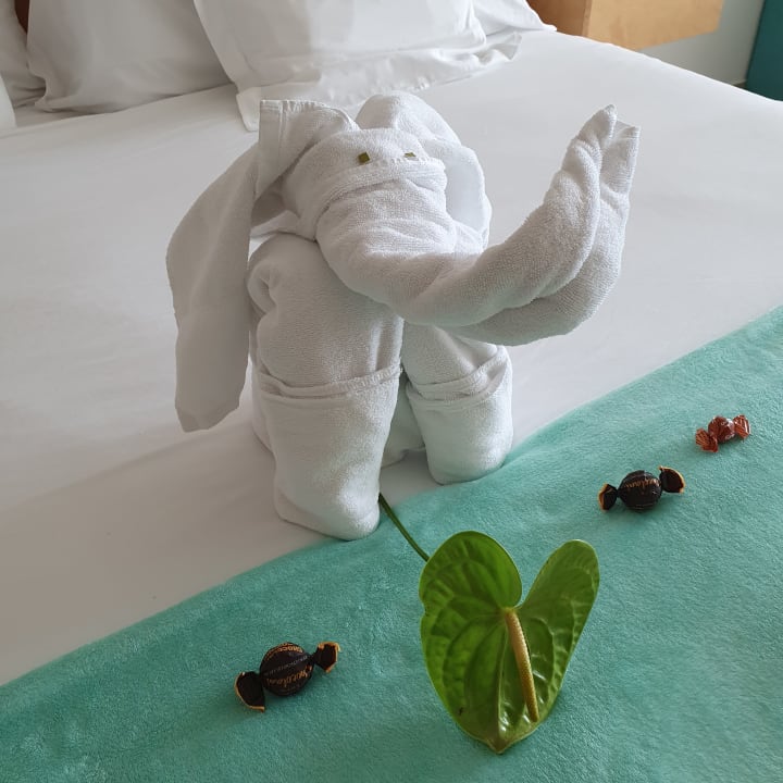 Zimmer Iberostar Selection Playa de Palma