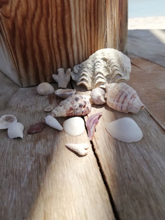 Sonstiges Shams Prestige Abu Soma-Adults Only