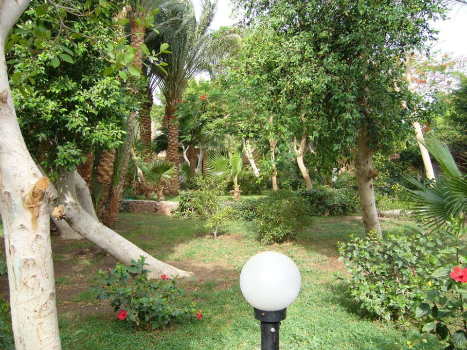  Blick vom Bungalow Giftun Azur Resort