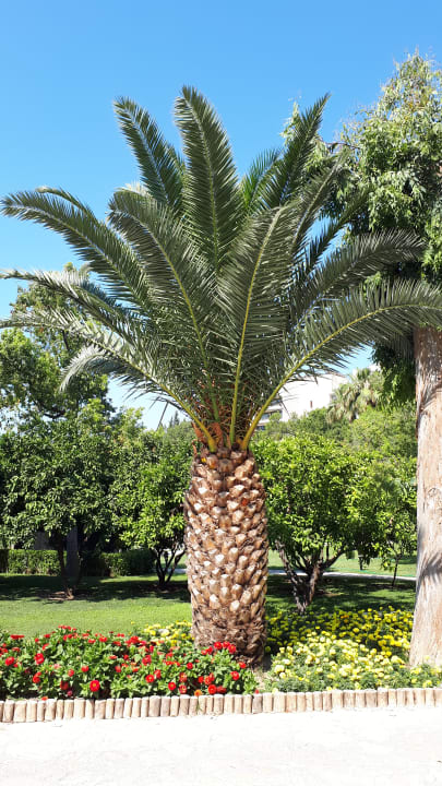 Gartenanlage Club Melas Privé