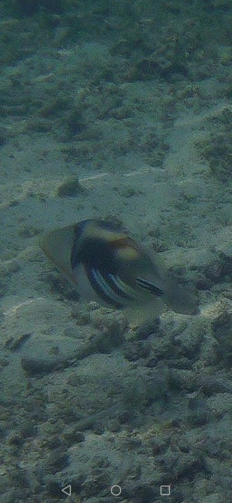 Strand Adaaran Select Hudhuran Fushi - Premium All Inclusive