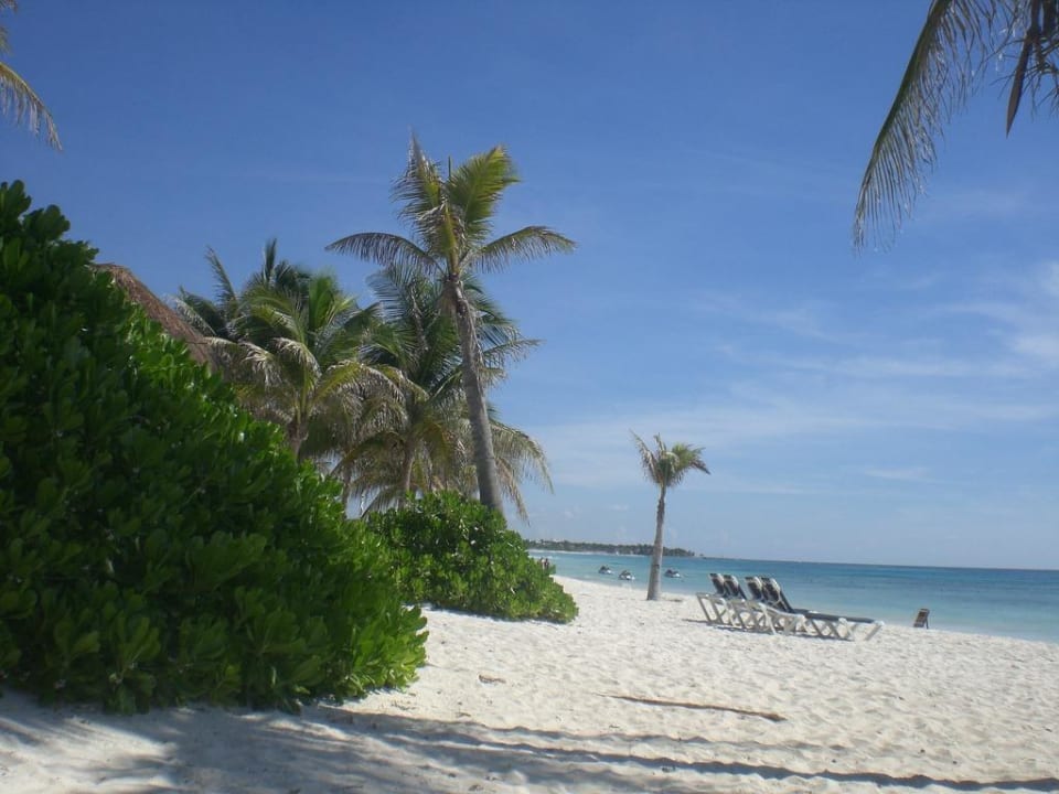 Strand Grand Palladium Kantenah Resort & Spa