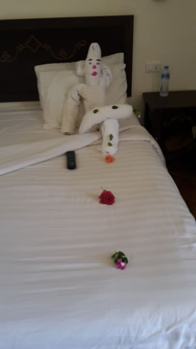 Zimmer Three Corners Sea Beach Resort