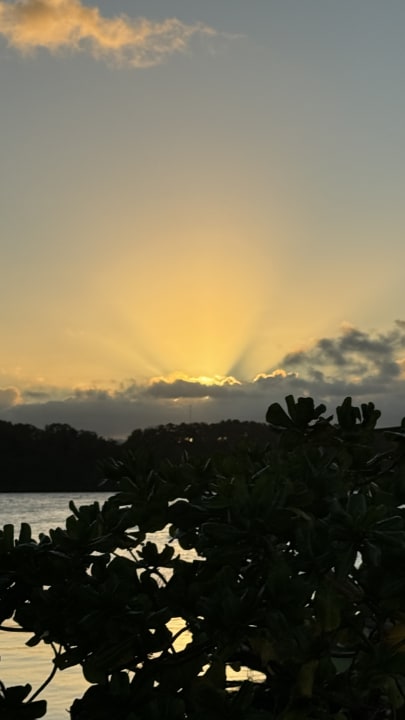 Ausblick Shandrani Beachcomber Resort & Spa