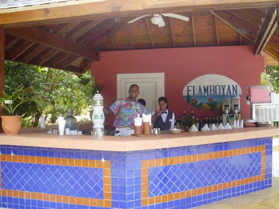 Die Poolbar Bahia Principe Grand El Portillo