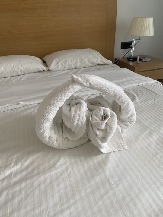 Zimmer Blue Lagoon Ocean