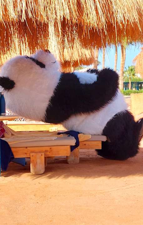 Sport & Freizeit Club Paradisio El Gouna, Red Sea