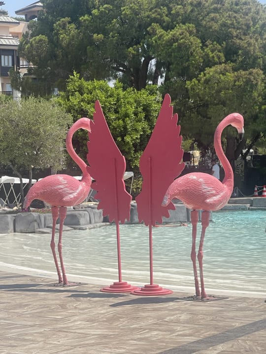 Pool Xanadu Resort Hotel