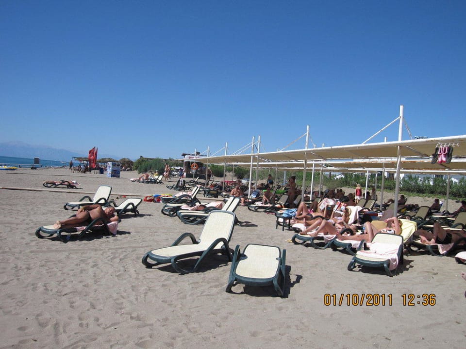 Am Strand Sherwood Dreams Resort