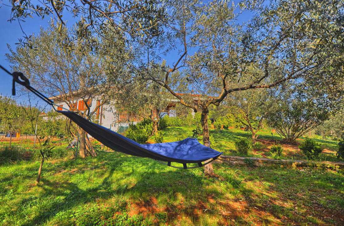 Giardino Villa delle Camellie