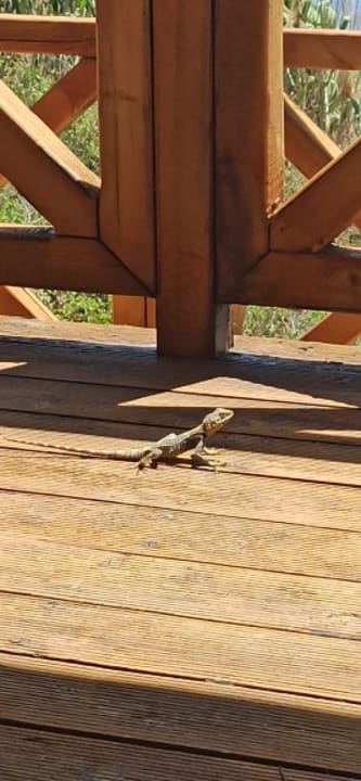 Außenansicht Hotel Kalithea Horizon Royal