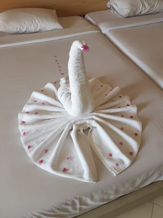 Zimmer Regina Resort and Aqua Park Hurghada