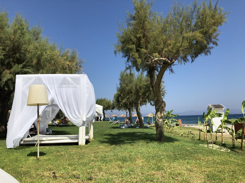 Strand TUI BLUE Oceanis Beach and Spa Resort