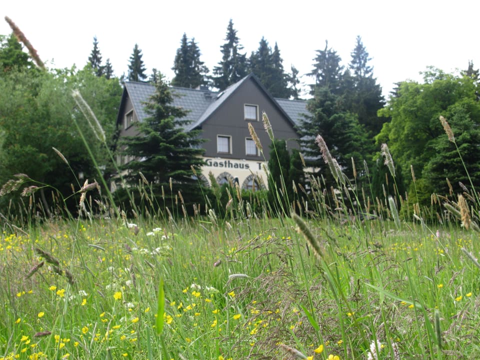 Sommerwiese Gasthaus Talsperre