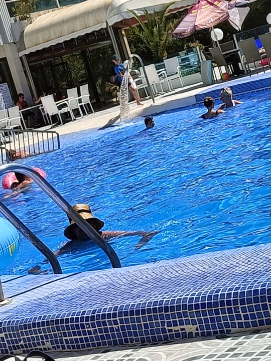 Pool Bei Juan Playa Blanca