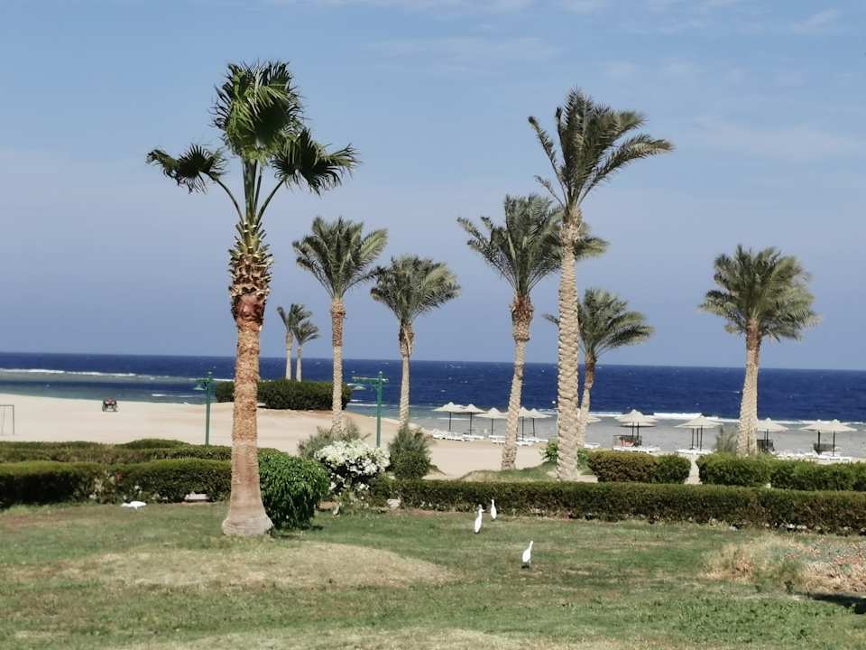 Ausblick Bliss Nada Beach Resort