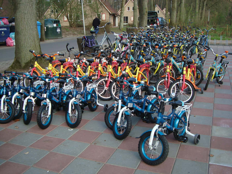 Fahrradverleih  Ferienpark Landal Landgoed 't Loo