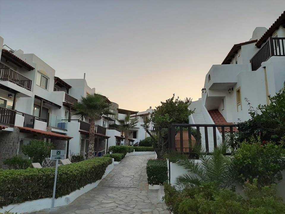 Zimmer Alexander Beach Hotel & Village Resort