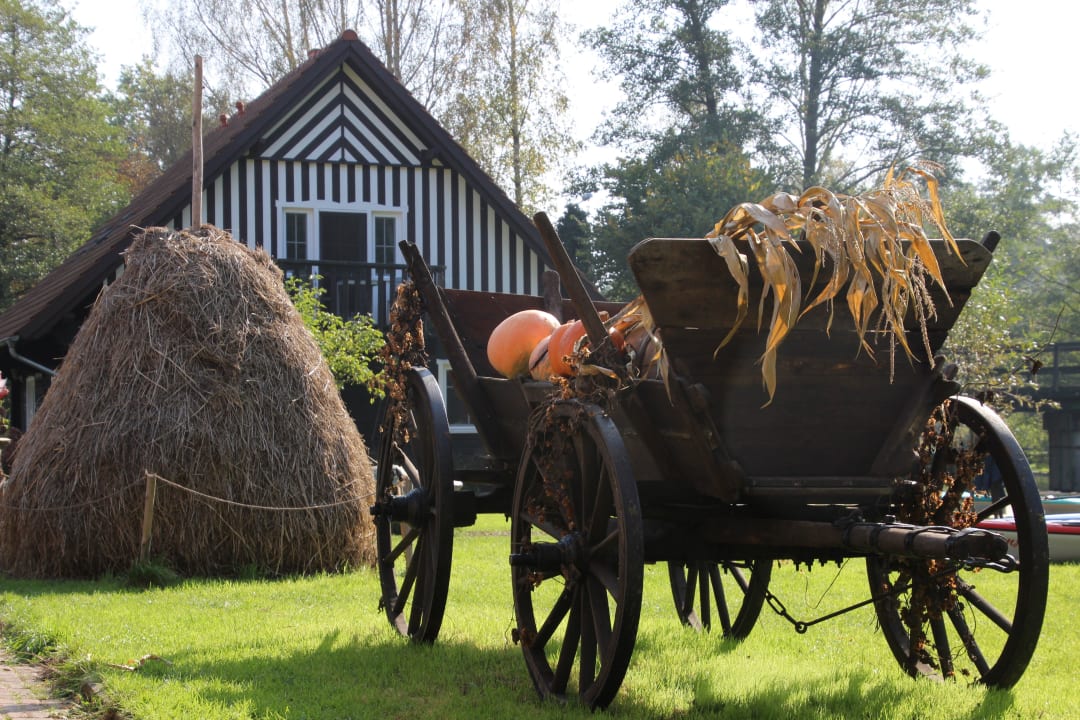 Kürbiszeit im Spreewald Pension & Gasthof Spreewaldhof Leipe