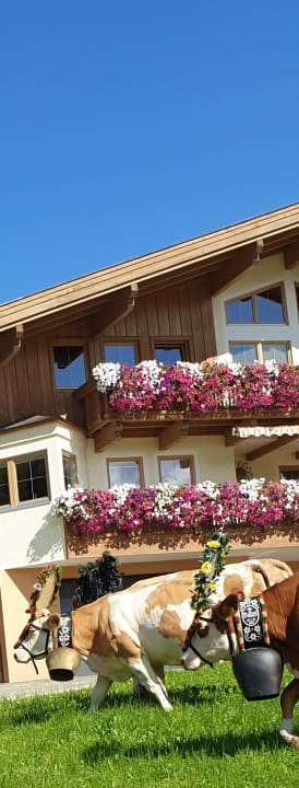 Sonstiges Hotel Kaiserblick