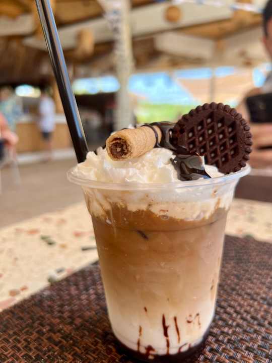 Gastro Seashell Vega