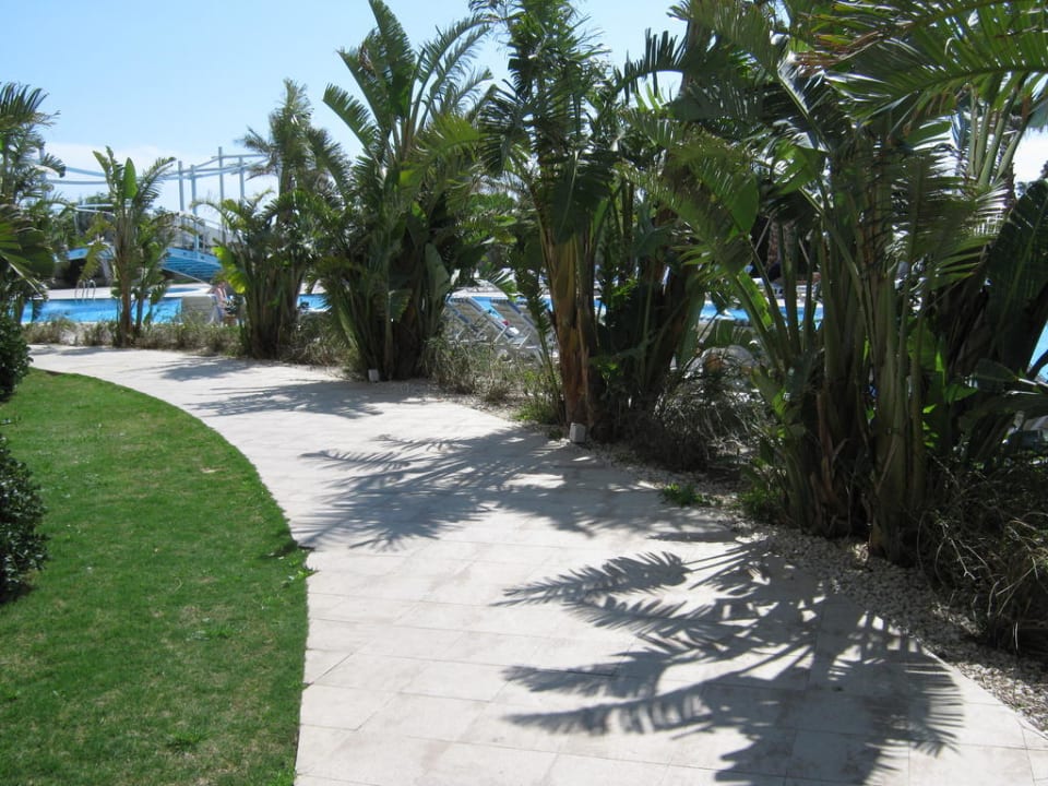 Neben dem Pool gibt es reichlich Platz  Saturn Palace Resort Hotel