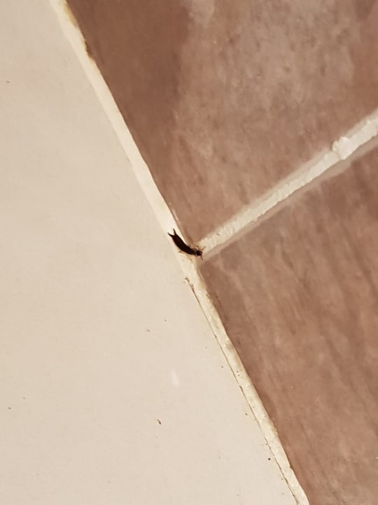 Zimmer Sandy Beach Resort