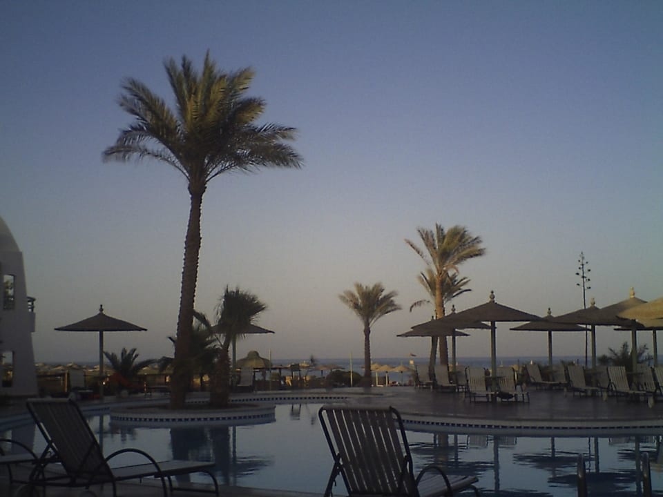 Evening at the pool Shams Alam Beach Resort