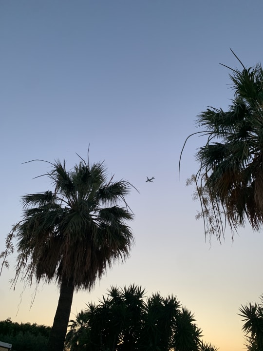 Außenansicht TUI KIDS CLUB Alex Beach