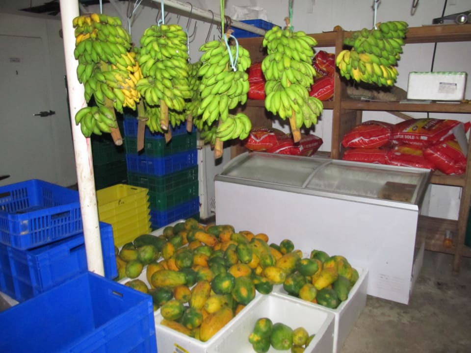 Lager NH Collection Maldives Reethi Resort