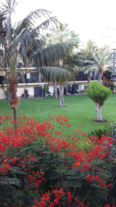 Gartenanlage ROBINSON JANDIA PLAYA