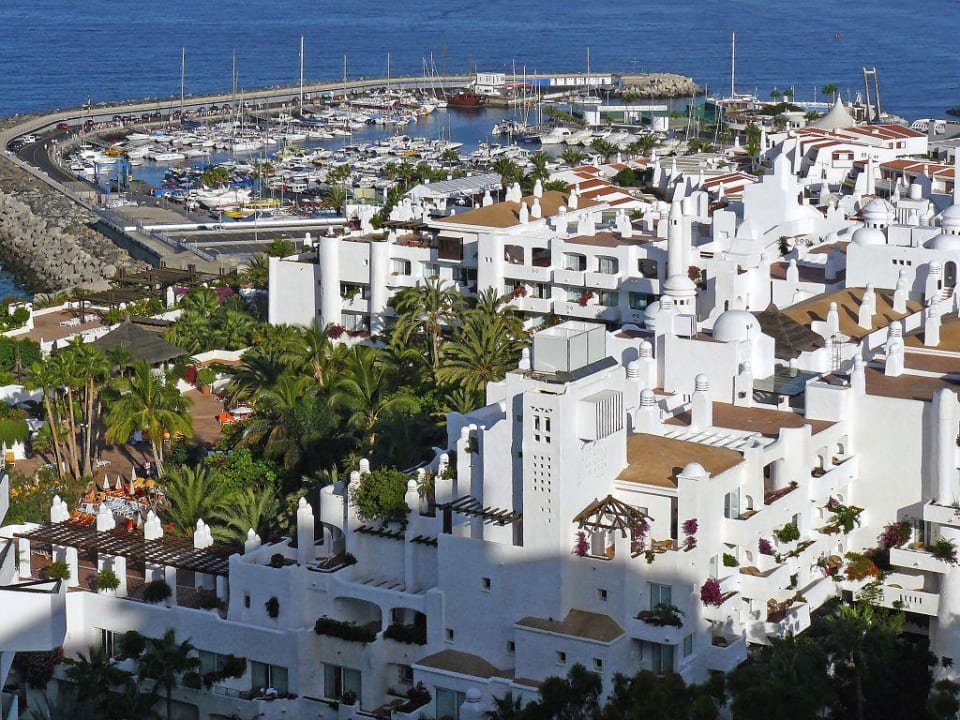 Jardin Tropical Dreams Jardín Tropical